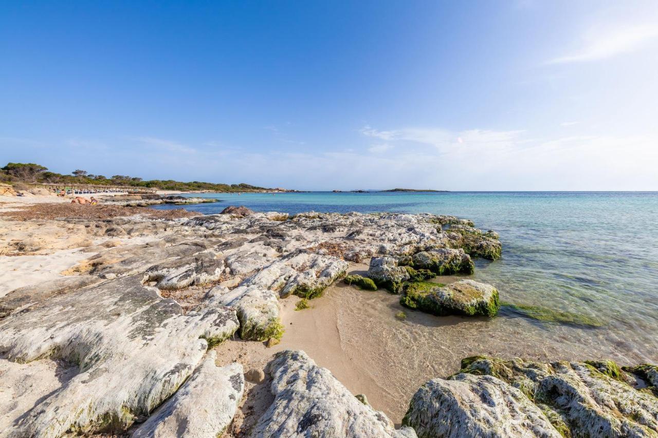 Ses Salines Cottage With Private Pool And Barbecue Eksteriør bilde