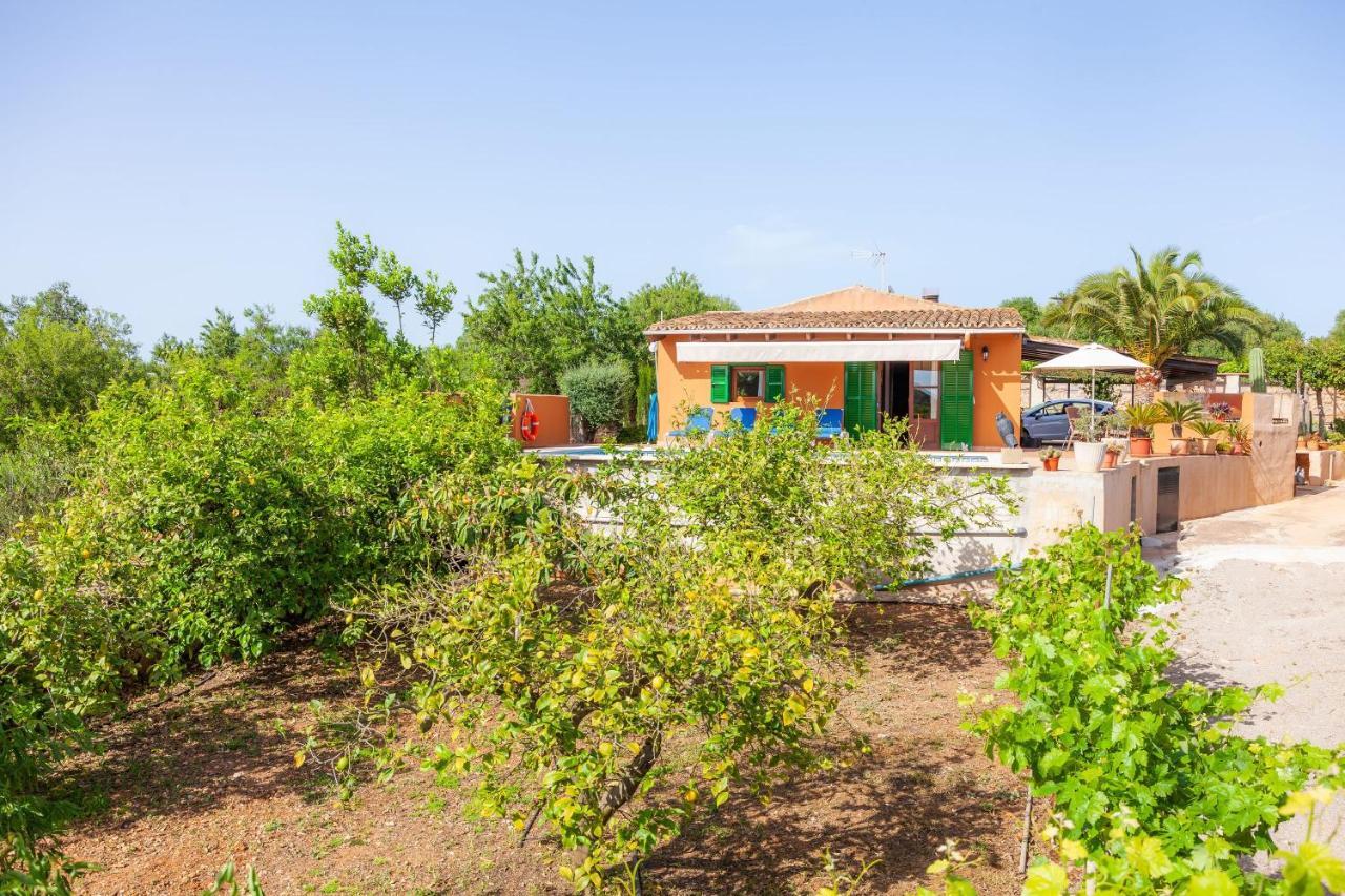 Ses Salines Cottage With Private Pool And Barbecue Eksteriør bilde